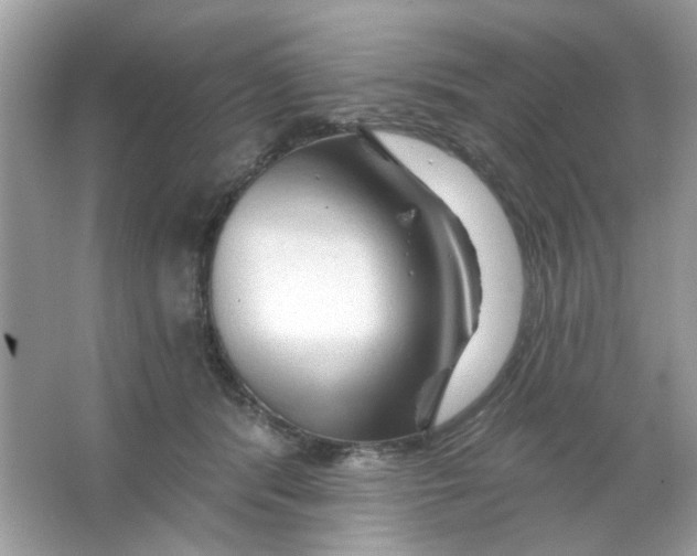 X0000065970416200603241918