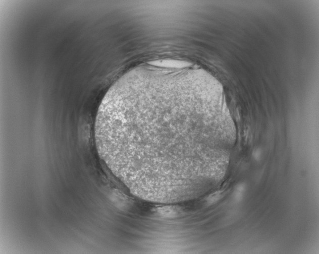 X0000065970417200603241918