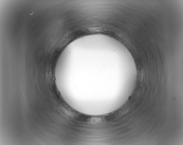 X0000065970418200603241918