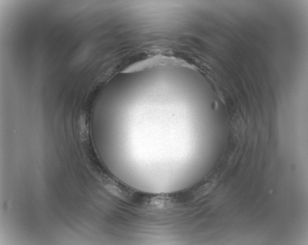 X0000065970420200603241918