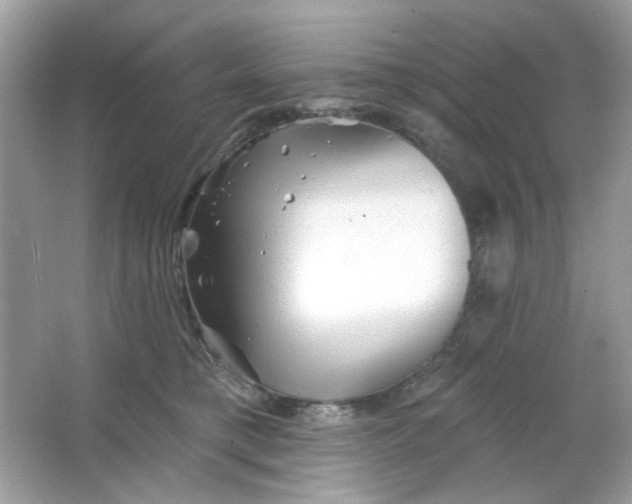 X0000065970421200603241918