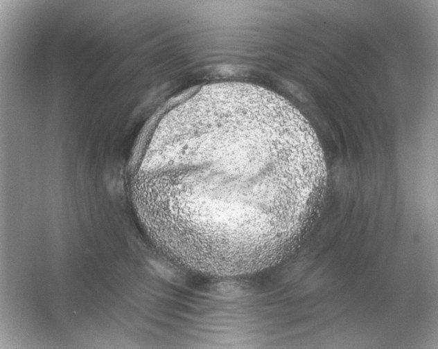 X0000065970423200603241918