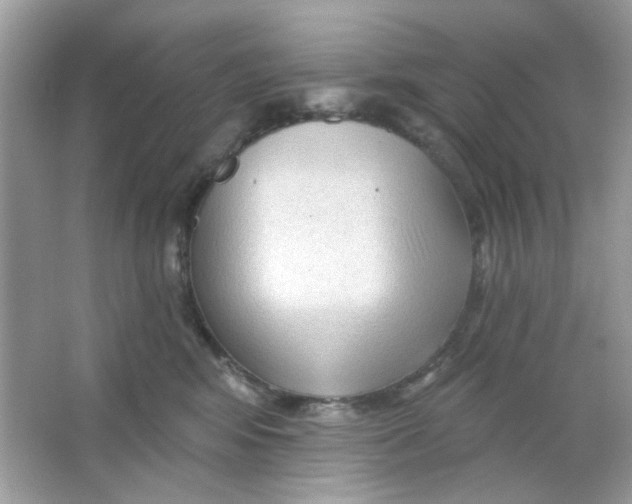 X0000065970424200603241918