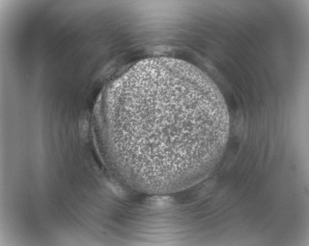 X0000065970427200603241918