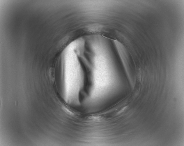 X0000065970428200603241918