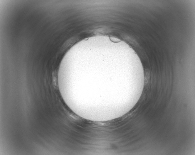 X0000065970430200603241918