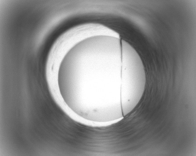 X0000065970431200603241918