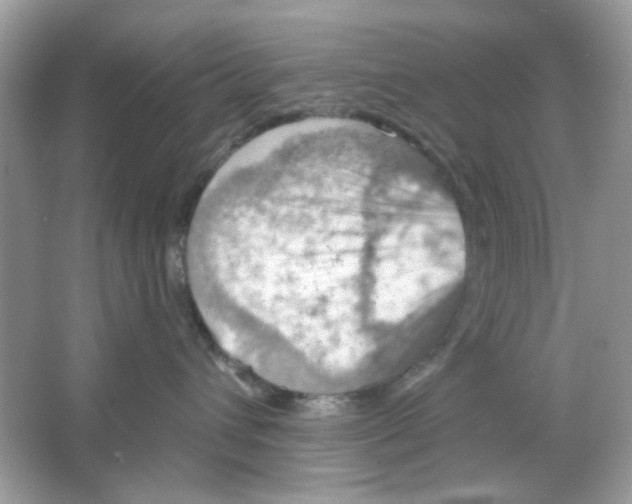 X0000065970432200603241918