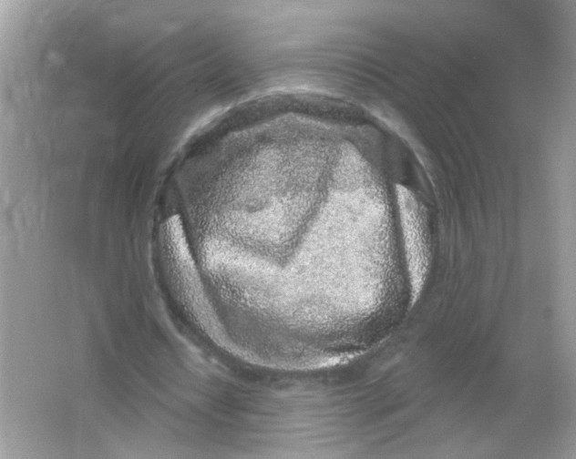 X0000065970434200603241917