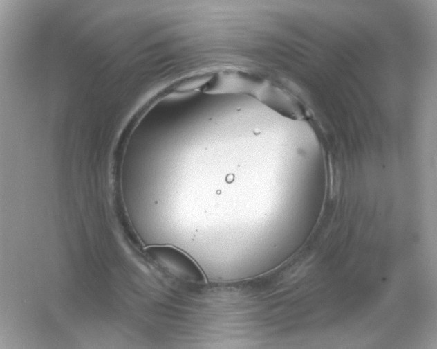 X0000065970435200603241917