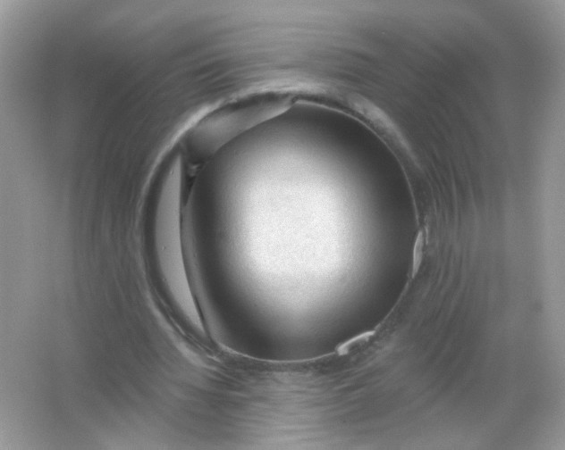 X0000065970436200603241917