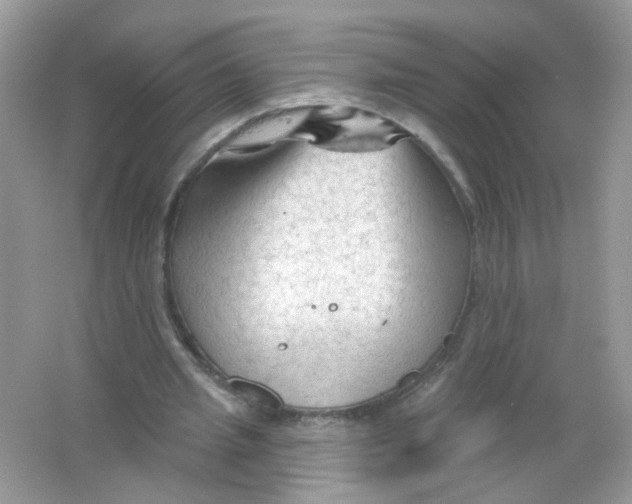 X0000065970437200603241917