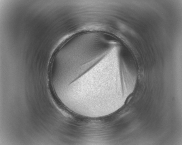 X0000065970438200603241917