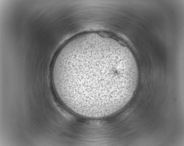 X0000065970439200603241917