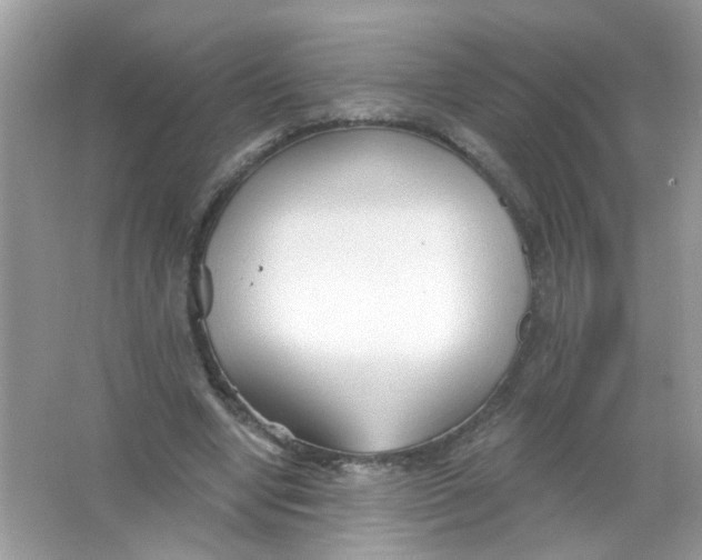 X0000065970442200603241917