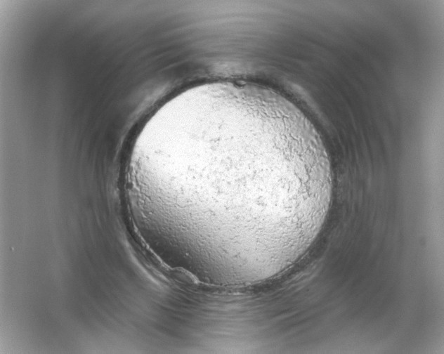 X0000065970443200603241917