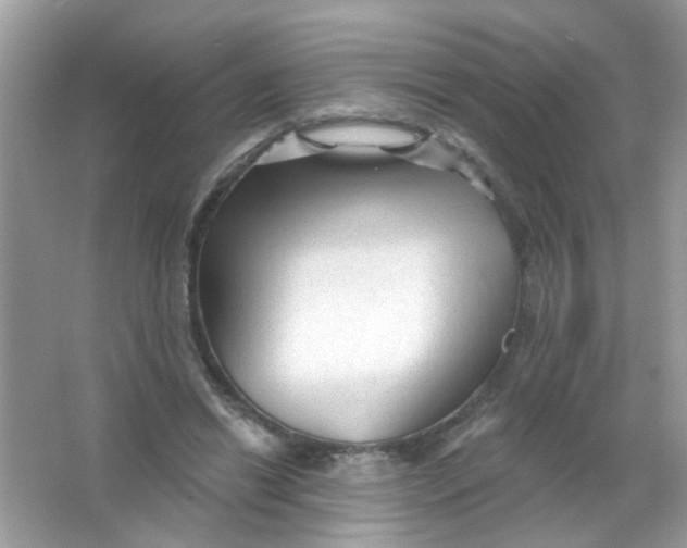 X0000065970446200603241917