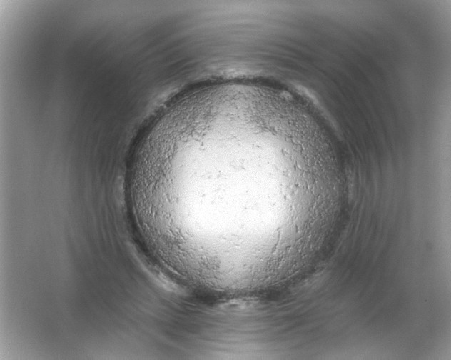 X0000065970447200603241917