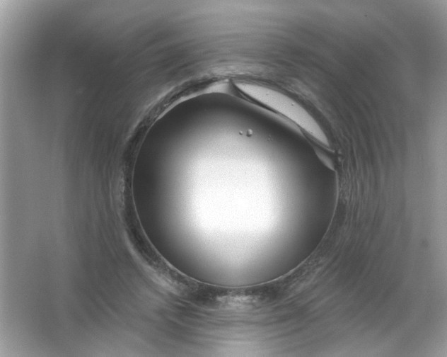 X0000065970448200603241917