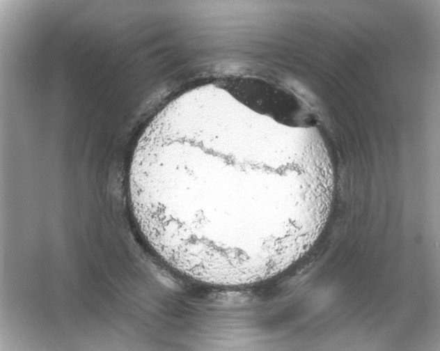 X0000065970449200603241917