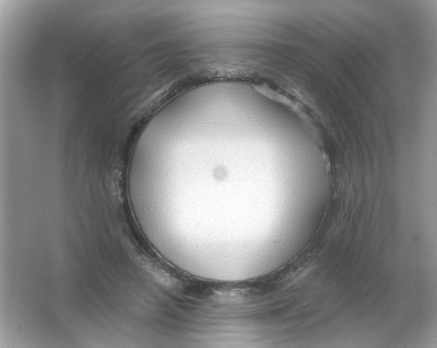 X0000065970450200603241917