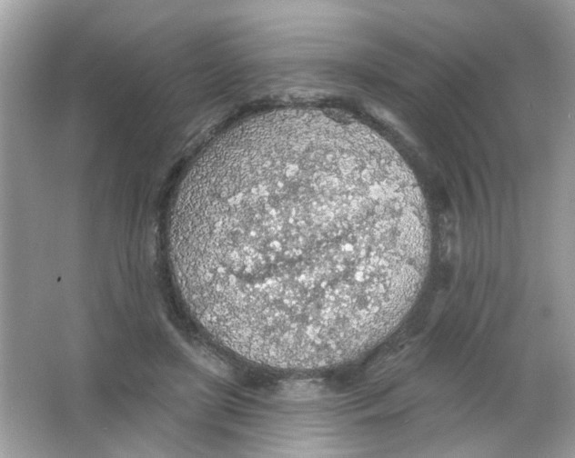 X0000065970451200603241917