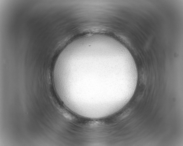 X0000065970453200603241917