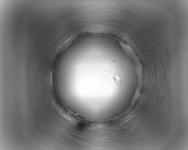 X0000065970454200603241917