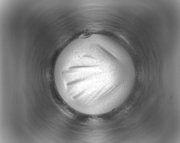 X0000065970455200603241917