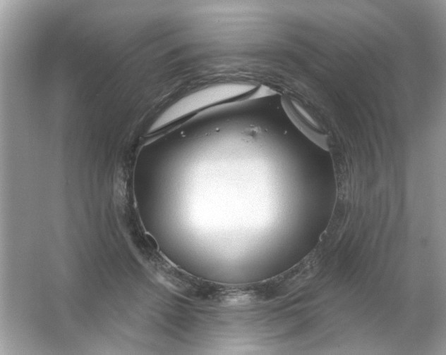 X0000065970456200603241917