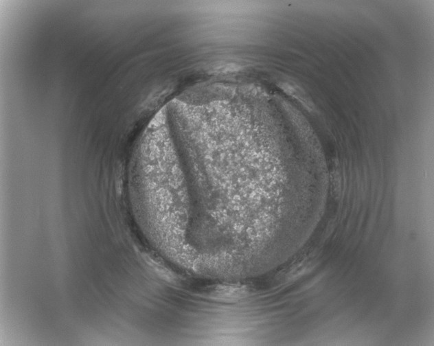 X0000065970458200603241918