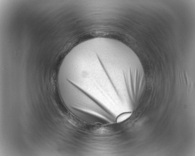 X0000065970460200603241918