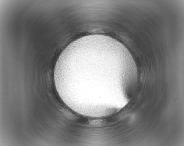 X0000065970461200603241918