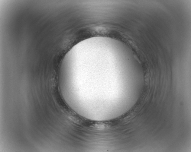 X0000065970464200603241918