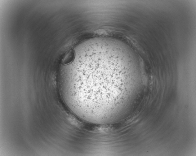 X0000065970466200603241918