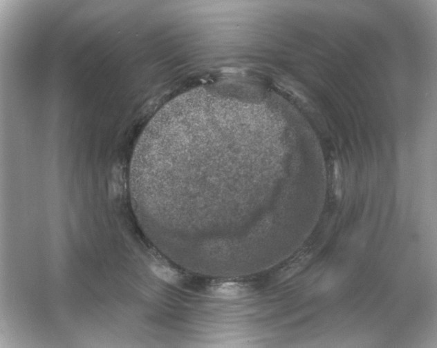 X0000065970467200603241918