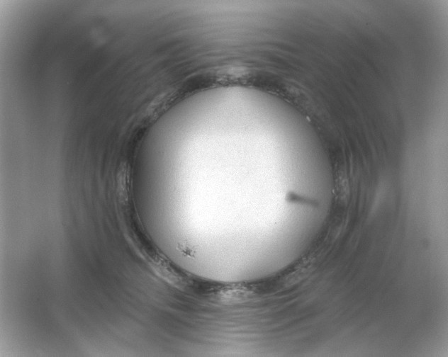 X0000065970468200603241918