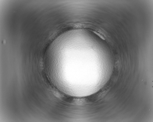 X0000065970469200603241918