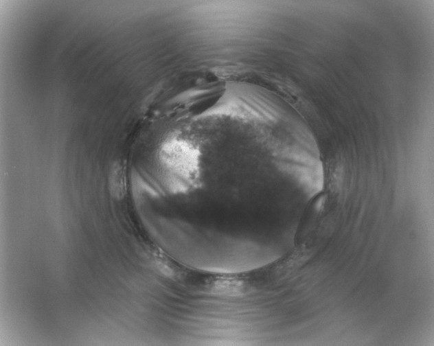 X0000065970471200603241918