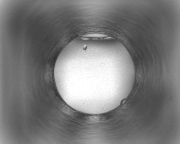 X0000065970473200603241918