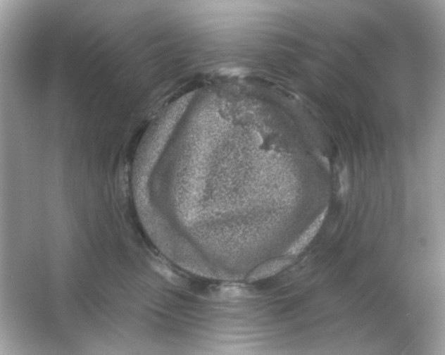 X0000065970475200603241918