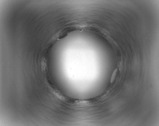 X0000065970476200603241918