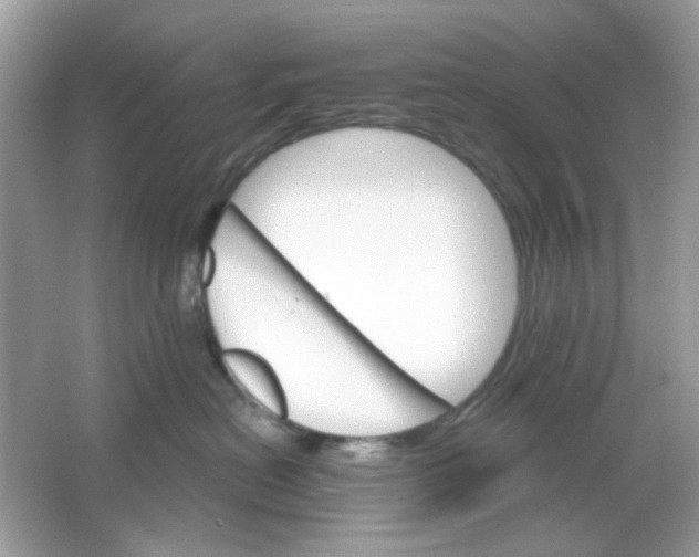 X0000065970478200603241918