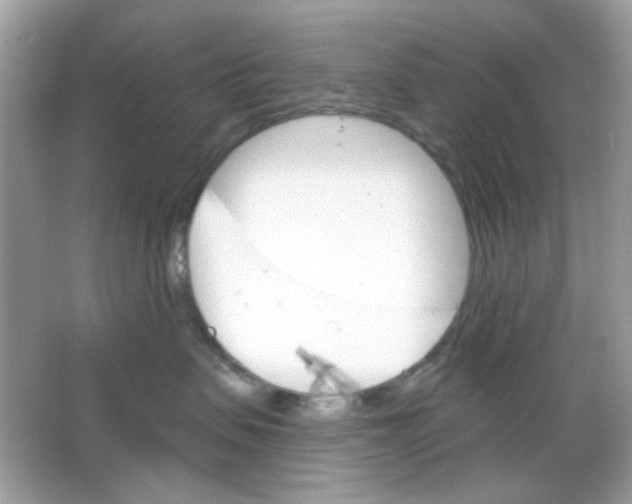 X0000065970479200603241918