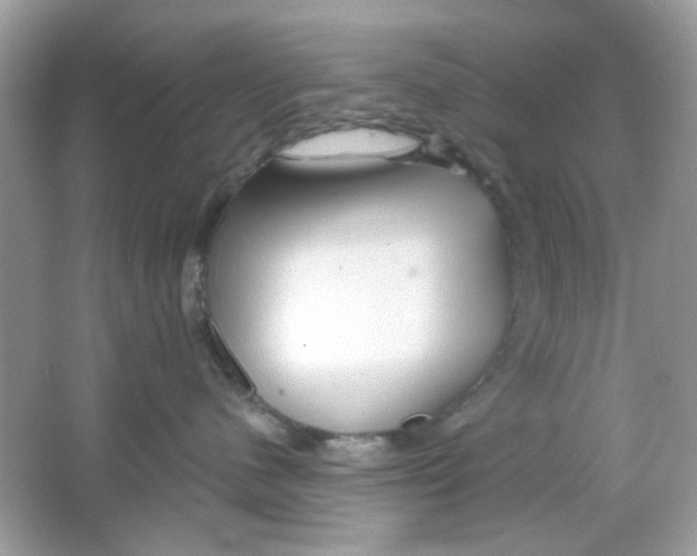 X0000065970480200603241918