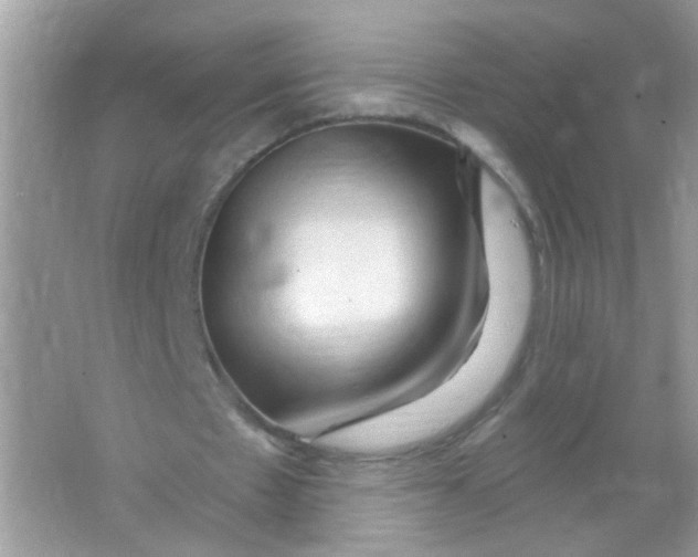 X0000065970481200603241917