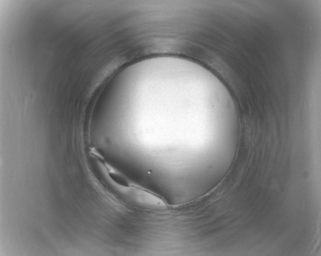 X0000065970482200603241917