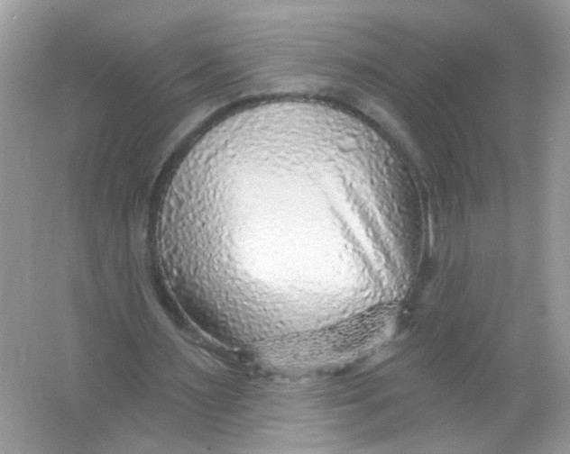 X0000065970483200603241917