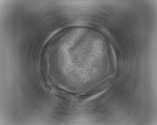 X0000065970484200603241917