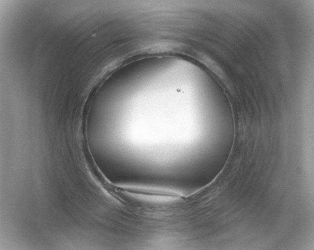 X0000065970485200603241917